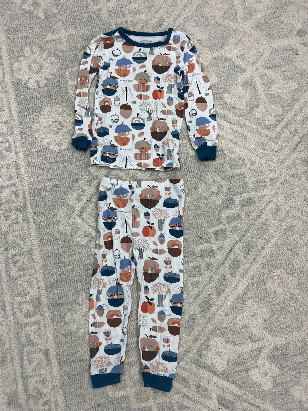 Kids Long Sleeve Fall Harvest Pajama Set - Blue & Brown